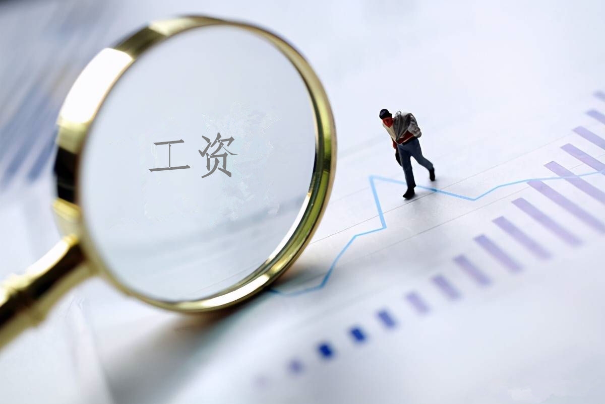 2022年度long8官方网站工资总额信息披露